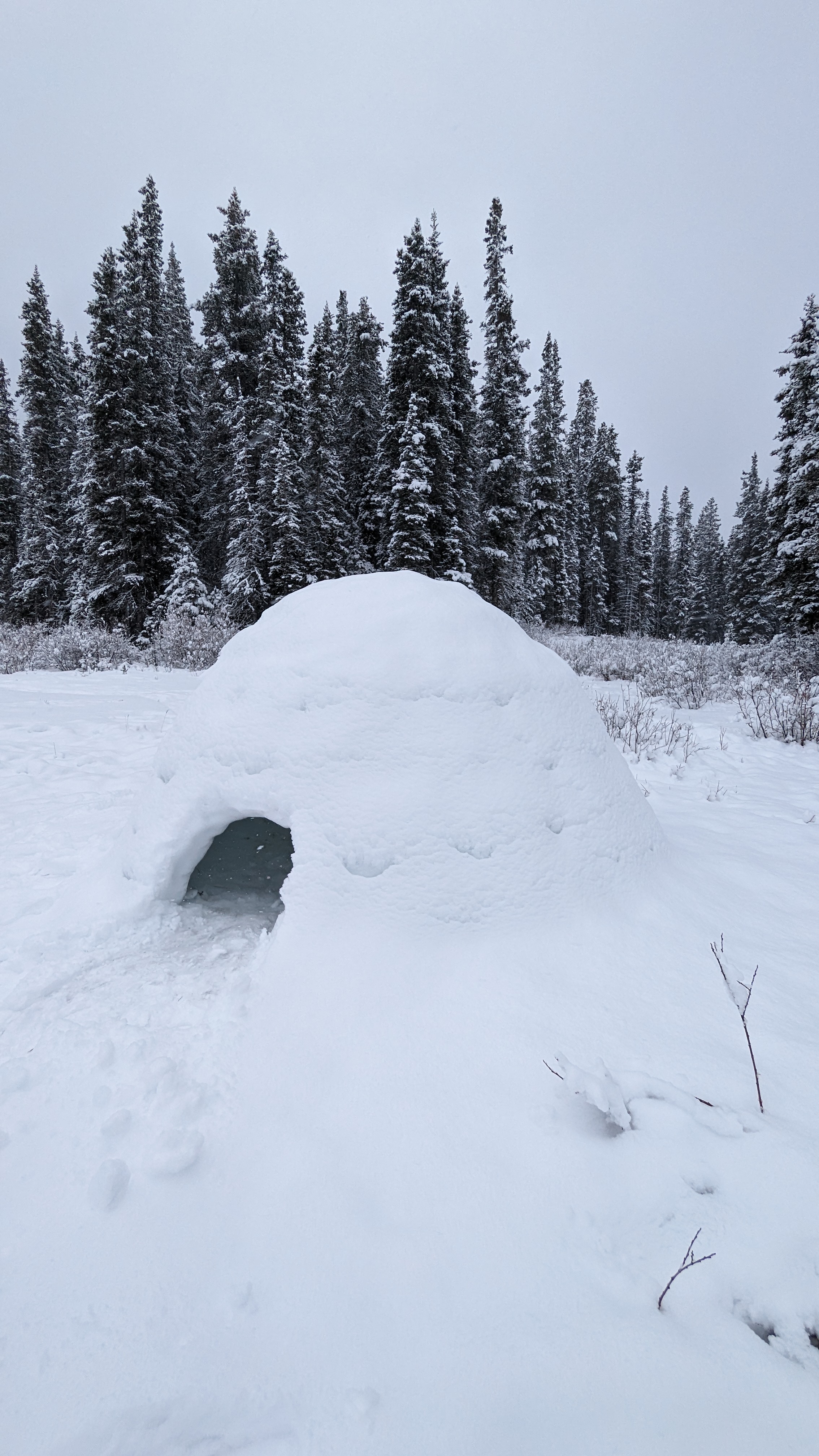 Igloo 1